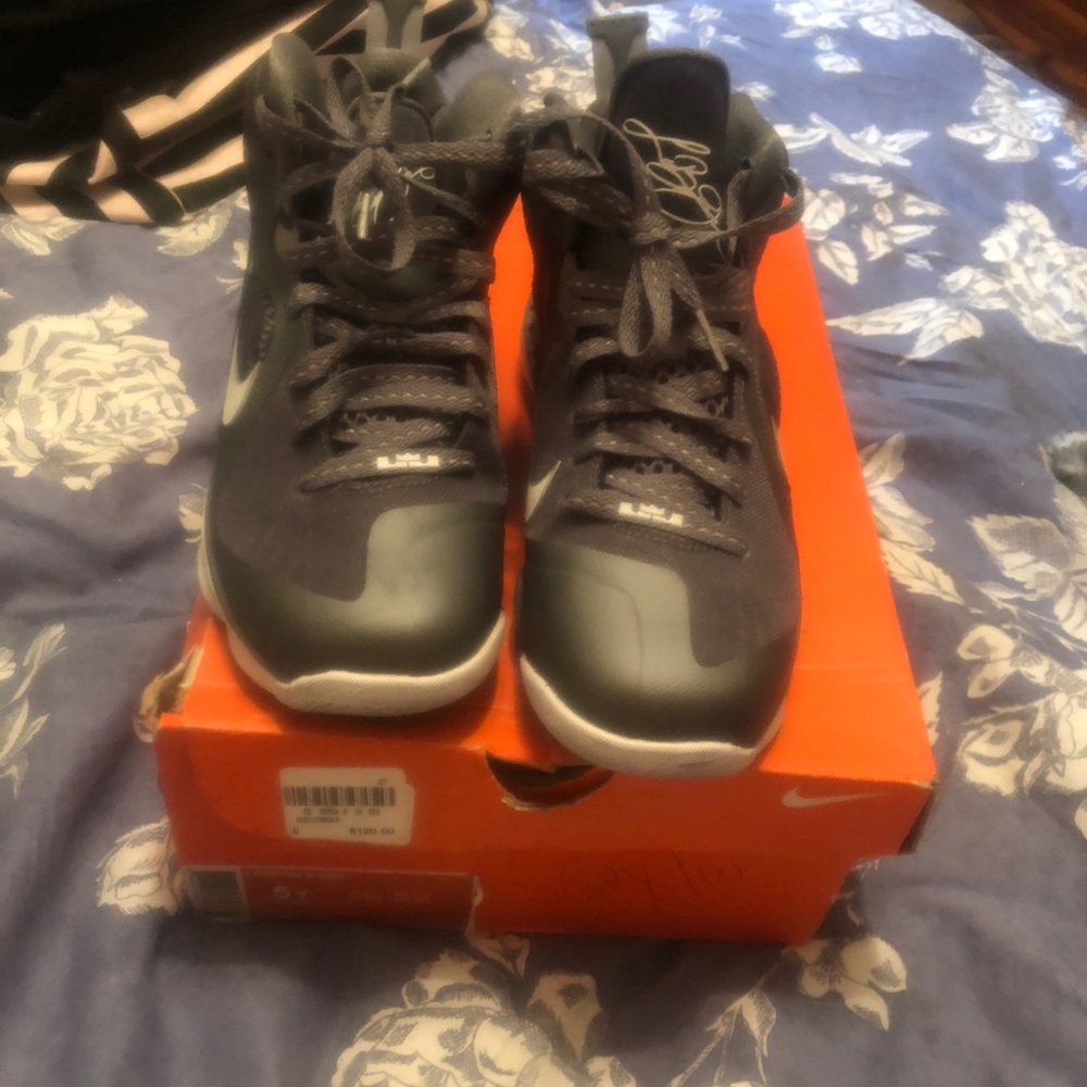Lebrons - Picture 2 of 2